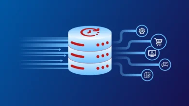 Real-Time Data Access The Missing Piece in Effective Case Management Workflows