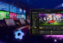 What Actually Makes an Online Sports Betting Platform Stand Out